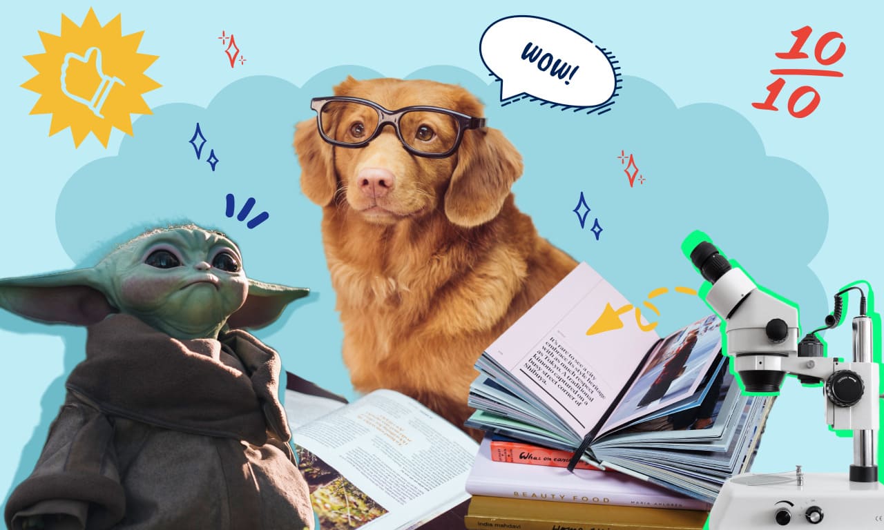 120 Best Trivia Questions And Answers Ever
